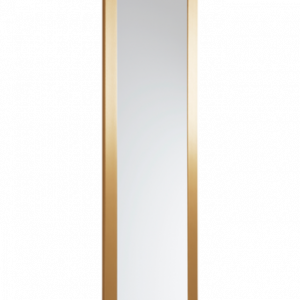 ENVY spegel 30×120 cm Guld
