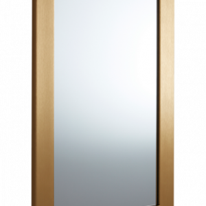 ENVY spegel 30×50 cm Guld