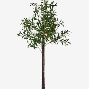 Dekorationsträd Olivec 180cm