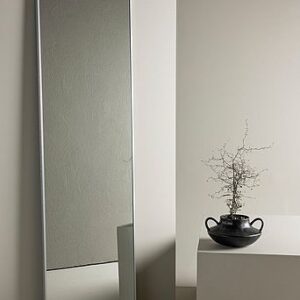 Spegel Orlando 55×195 cm