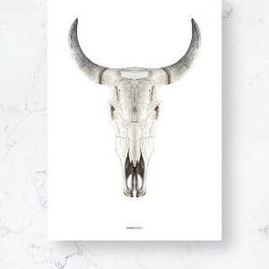 Poster / Cow skull / Plano