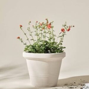 AMY utomhuskruka ø 60 cm Vit