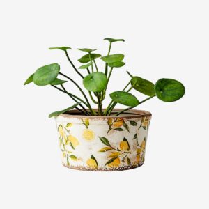 Affari of Sweden – Kruka Lemona M – Vit – Krukor & vaser – Från Homeroom