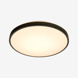 Aneta Lighting – Tak LED Anillo – Svart – Plafonder – Från Homeroom