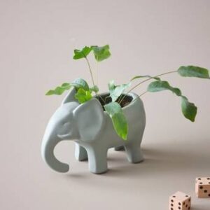 BABS minikruka Grön