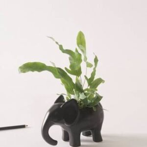 BABS minikruka Svart