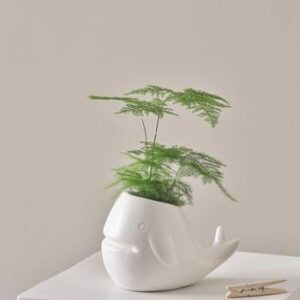 BALENA minikruka Vit