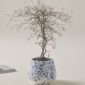 BELLADONNA kruka ø 18 cm Vit/blå