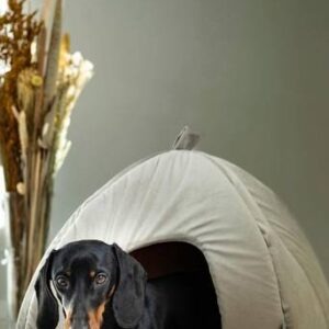 CHARLIE hundbädd/kattbädd Beige