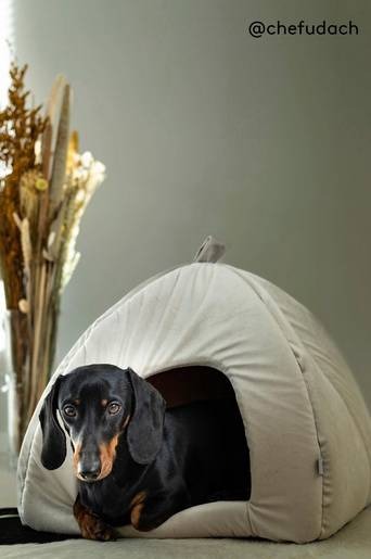 CHARLIE hundbädd/kattbädd Beige