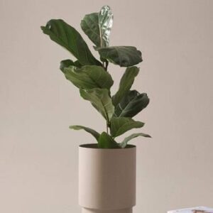 DESTINY kruka ø 25 cm Beige