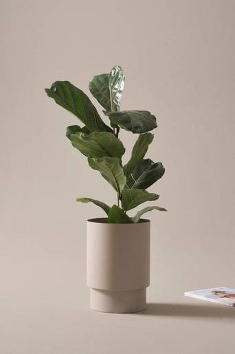 DESTINY kruka ø 25 cm Beige