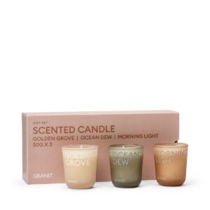 Doftljus 60g 3-p Gift Set