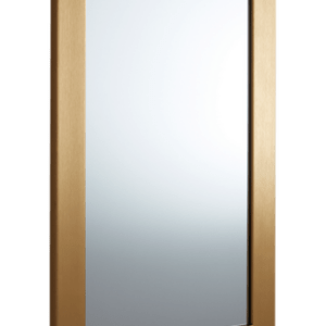 ENVY spegel 30×50 cm Guld