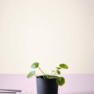 GUNNEBO kruka ø 14 cm Svart