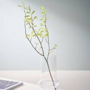 HAZE glasvas – höjd 24 cm Klarglas