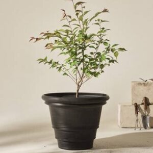 HOLLY utomhuskruka ø 56 cm Svart