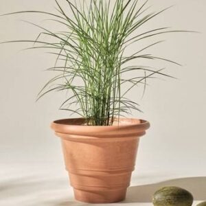 HOLLY utomhuskruka ø 56 cm Terracottabrun