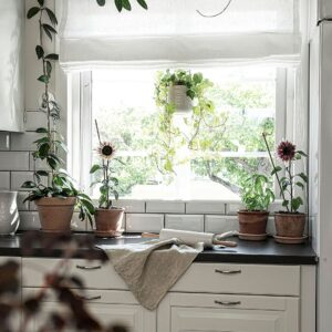 Hasta – Roman Blind Linnéa höjd 160 cm – Vit – Hissgardiner – Från Homeroom