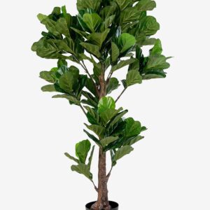 House Nordic – Krukväxt Fiddle, konstgjord, H190 cm – Grön – Krukor & vaser – Från Homeroom