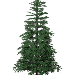 Julgran Edane 210cm Grön