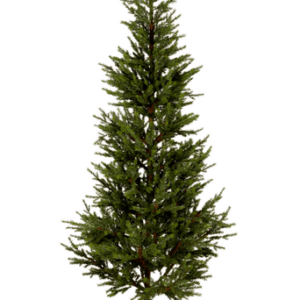 Julgran Malung, 200 cm Grön