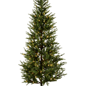 Julgran utomhus Malung, 200 cm Grön