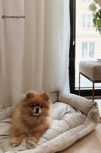 KELLY hundbädd/kattbädd Beige