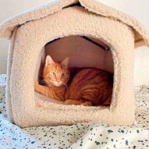 KENZA hundbädd/kattbädd Beige