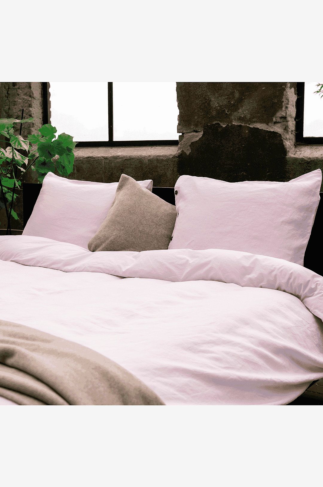 Kayori – Påslakanset – Nikko – 2 delar – Rosa – Påslakanset – Från Homeroom