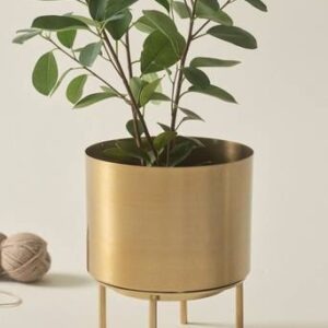 MONIQUE kruka Mässing