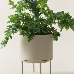 MONIQUE kruka Sandbeige