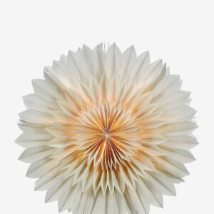 Markslöjd – Bordsstjärna SOLINA 60cm – Grå – Adventsstjärnor – Från Homeroom