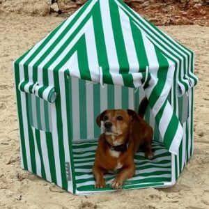 NEO djurtält Smaragdgrön/vit