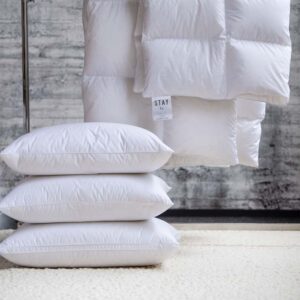 Norsk Dun Stay More Dunkudde 60×80