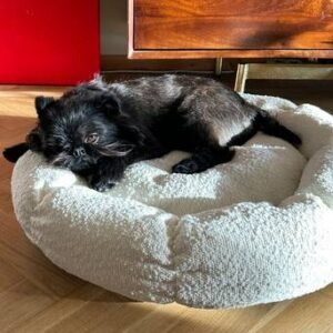 OBI hundbädd/kattbädd Naturvit