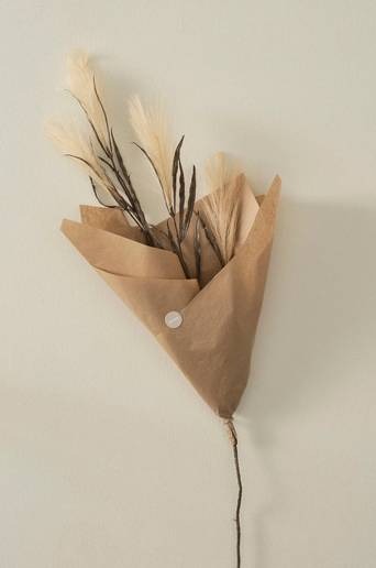 PAMPAS WIND 1 stjälk Beige/brun
