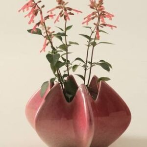 PEACHES vas Rödrosa