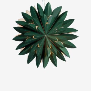 PR Home – Stjärna Hyacint – Grön – Adventsstjärnor – Från Homeroom