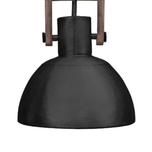 PR Home – Taklampa Ashby Single 29cm – Svart – Takpendlar – Från Homeroom