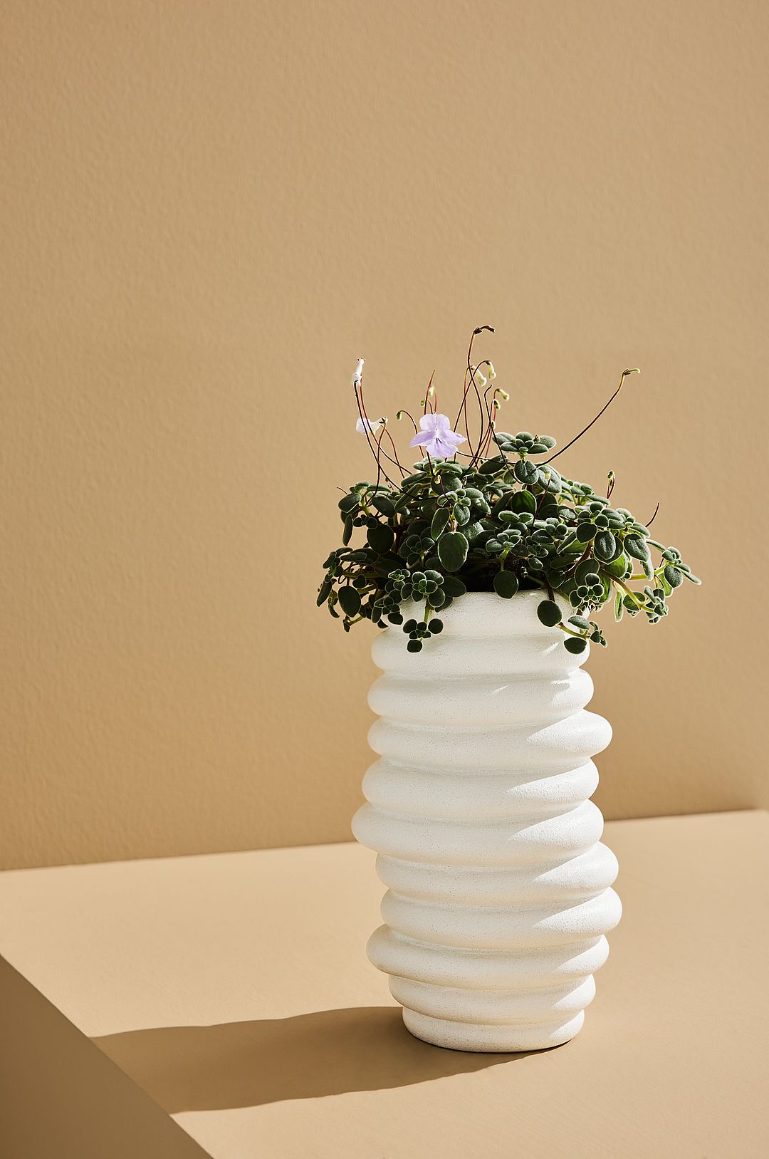 Pastill – Beth vas – Vit – Krukor & vaser – Från Homeroom