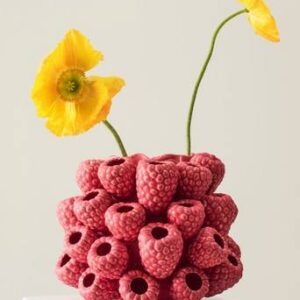 RASPBERRY vas/kruka Hallonröd