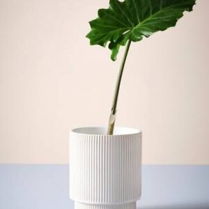 RUBY JO kruka ø 21 cm Naturvit