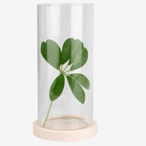 Rotor design – Flexibel High – Beige – Krukor & vaser – Från Homeroom