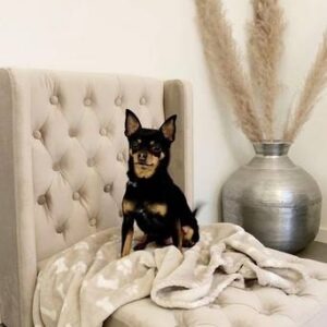 SKENE LYX hundbädd/kattbädd Beige