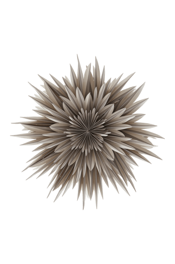 SPICA julstjärna ø 64 cm Greige