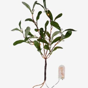 Star Trading – Gren Mistel – Grön – Dekorativ julbelysning – Från Homeroom