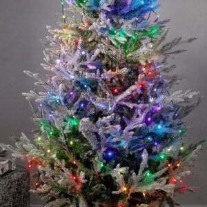 Star Trading – Julgransbelysning Smart Tree – Grön – Dekorativ julbelysning – Från Homeroom