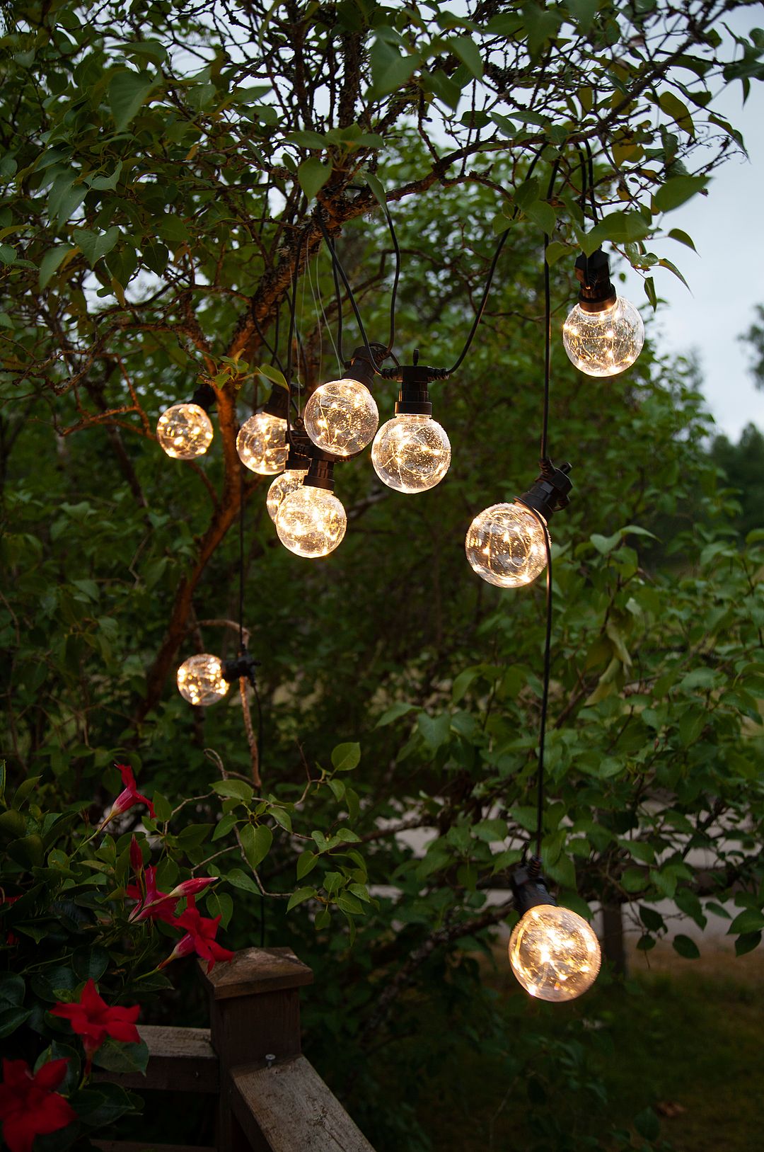 Star Trading – Ljusslinga Big Circus – Svart – Ljusslingor – Från Homeroom