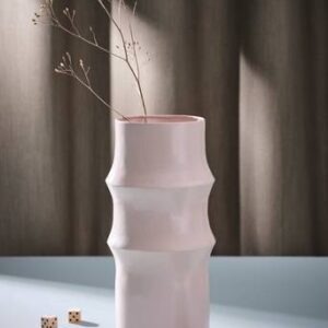 VEGA vas Rosa